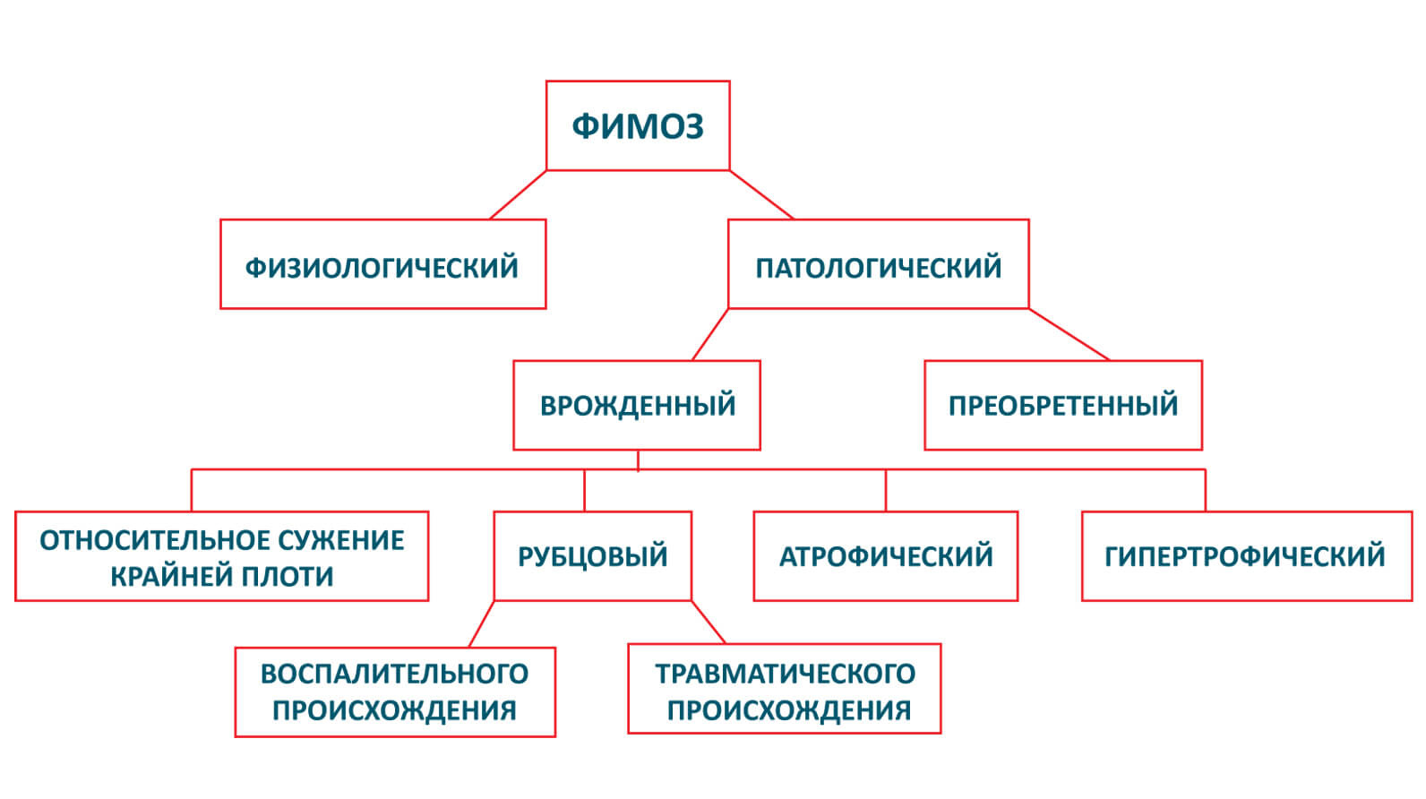 Классификация фимоза